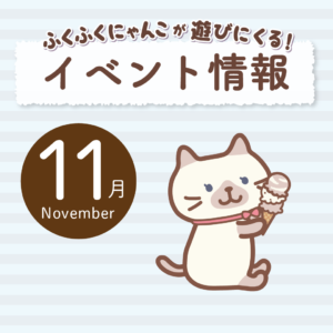 11月イベント情報🍁