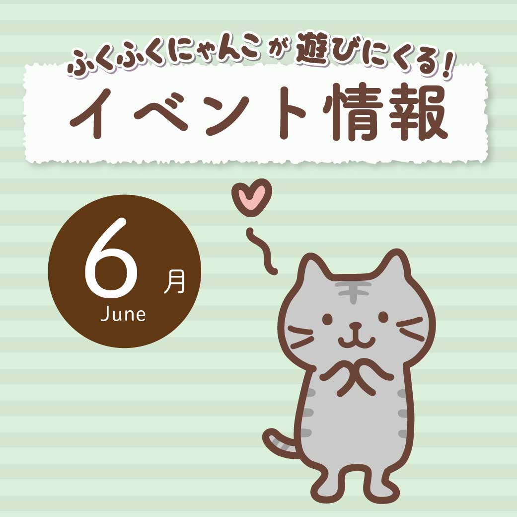 ふくふくにゃんこ　イベント　セット売り ふくふくにゃんこ 着せ替えカフェセット – HAPiNS online shop