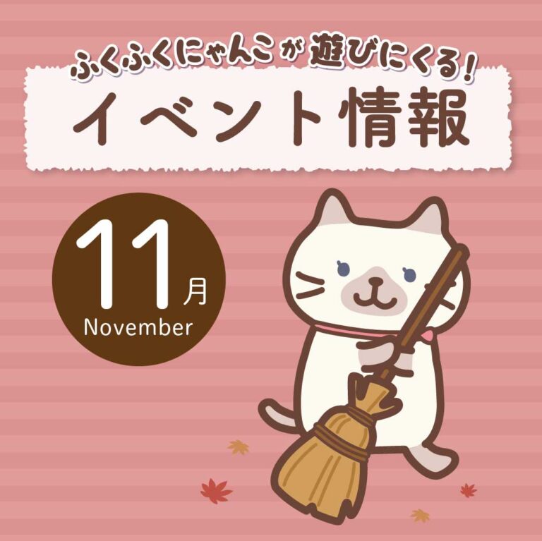 11月イベント情報🌰